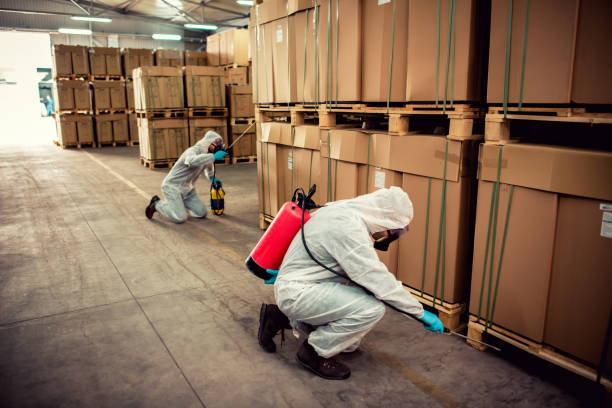 Best Mosquito Control Services  in Midland, PA