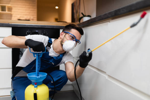 Best Affordable Pest Control Services  in Midland, PA