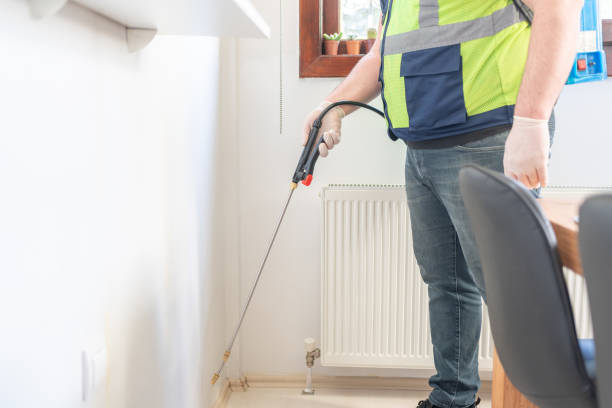 Best Rat Extermination Near Me  in Midland, PA