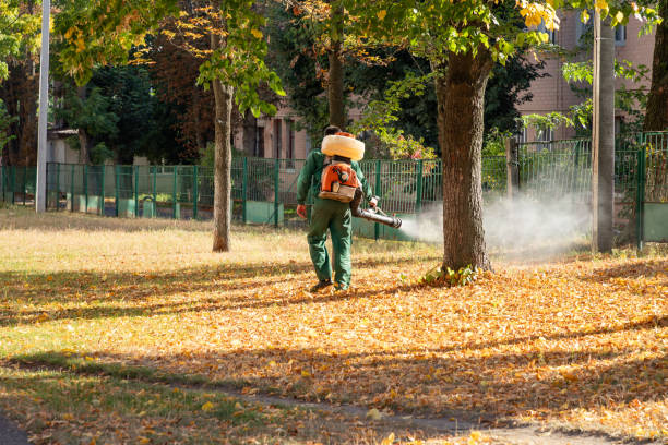 Best Local Pest Control Services  in Midland, PA