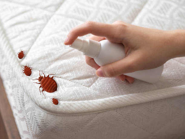 Reliable Midland, PA Pest Control Solutions