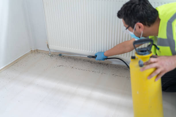 Best Insect Control  in Midland, PA