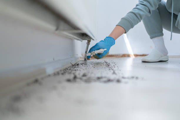 Best Termite Control Services  in Midland, PA