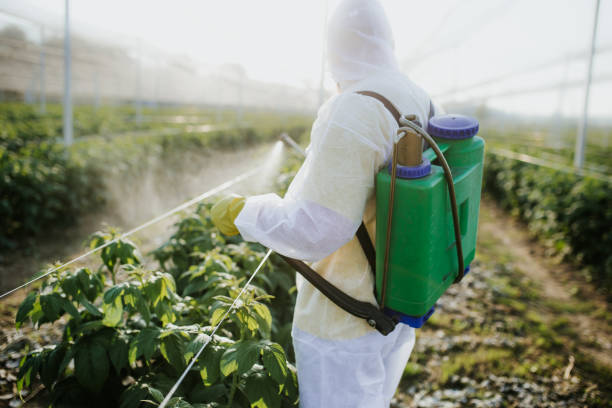 Best Wildlife Control Services  in Midland, PA